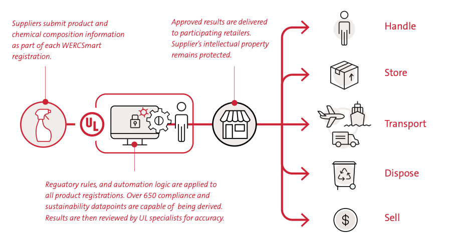 Example of WERCS process