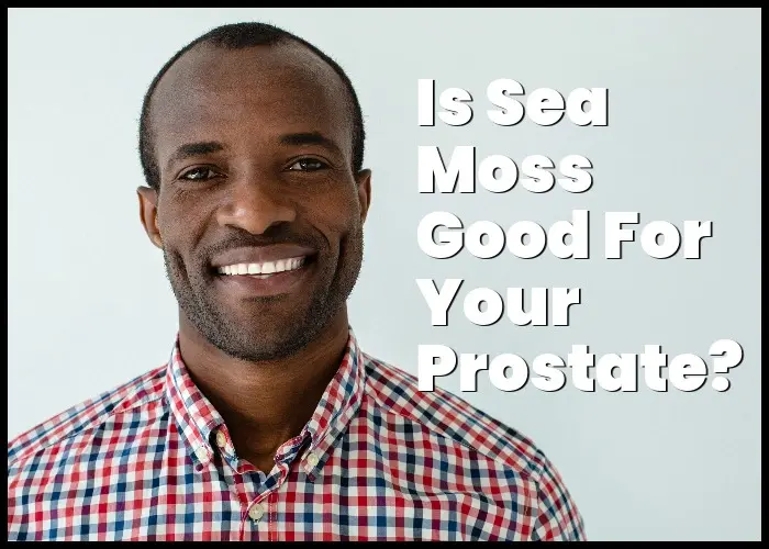 Is Sea Moss Good for Prostate Cancer?