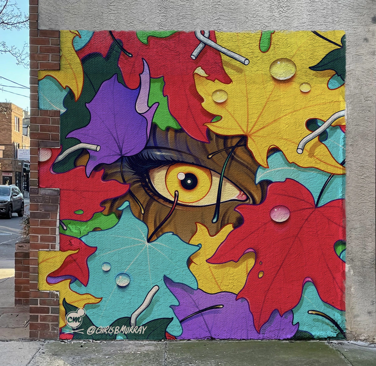 Peeking Through Mural (12' x 12')