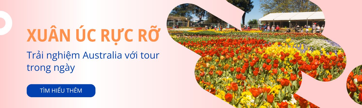 Tour Mùa Xuân Nước Úc
