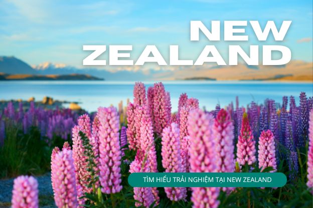 Khám phá trải nghiệm nguyên bản New Zealand trên Tour Finder