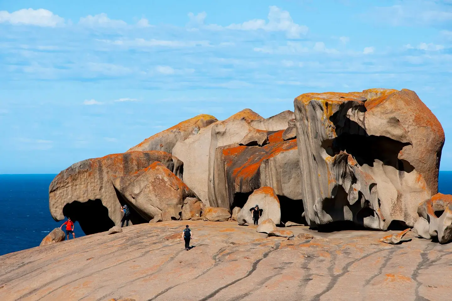 kangaroo-island-01.webp