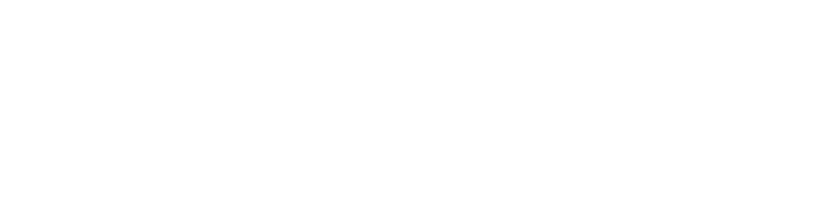 The Lunatics