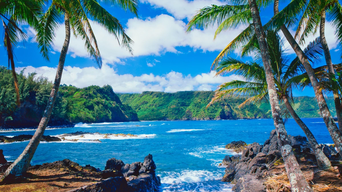 Hawaii Nurse License Guide: How to Get Licensed as a Travel RN