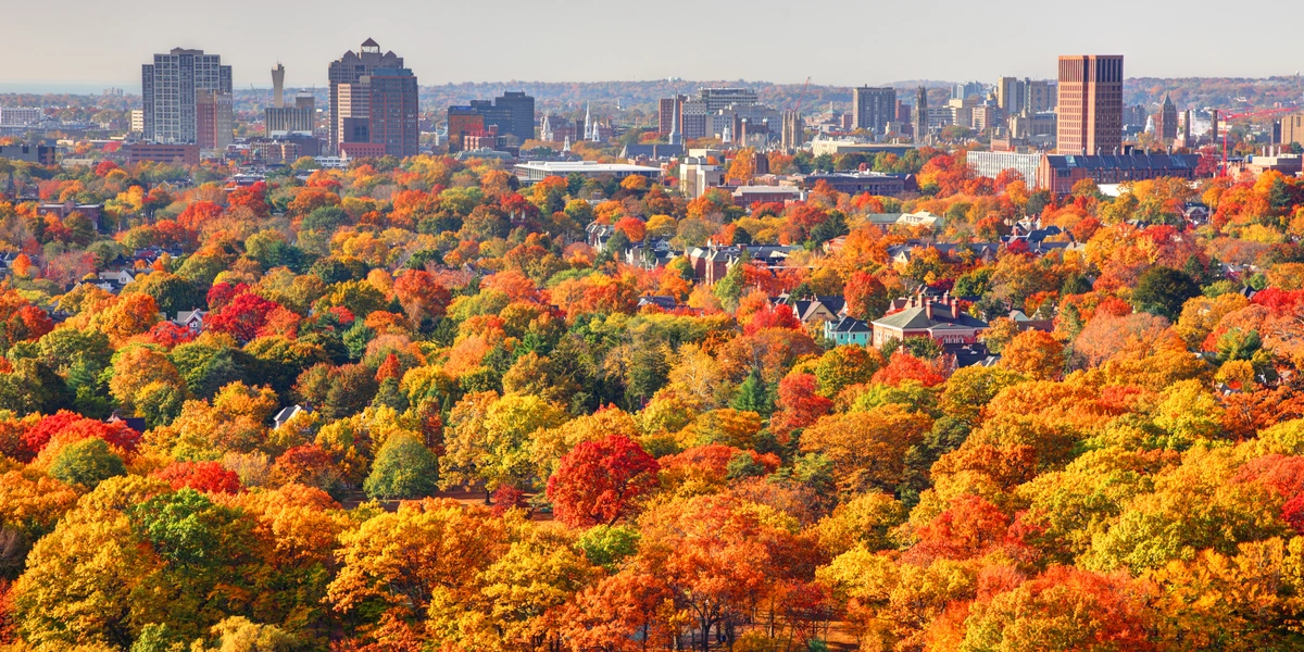 Connecticut Nurse License: How to Get Licensed as a Travel RN