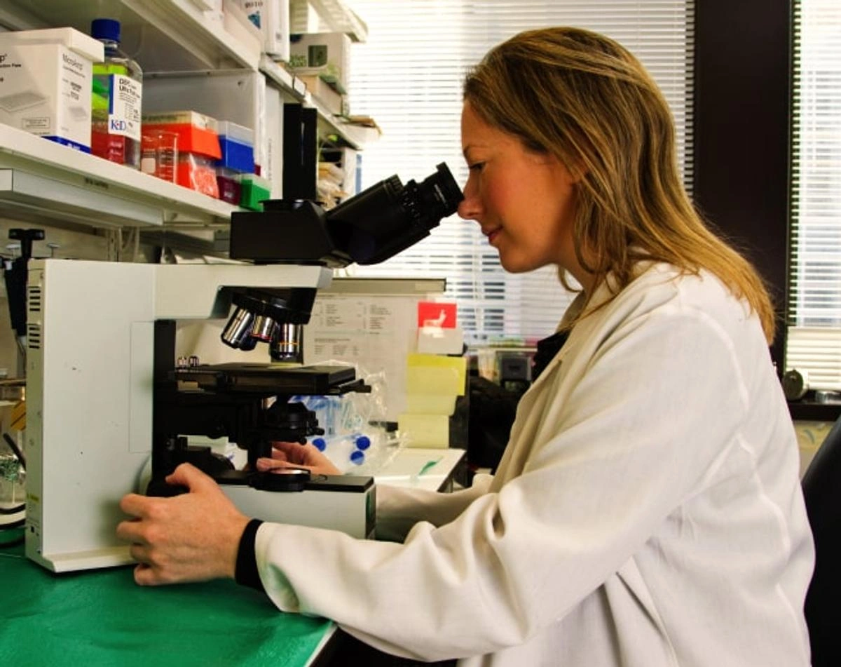 Travel microbiology technologist career guide