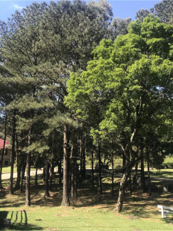 Paisagem - Thumb 27