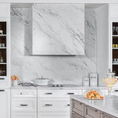 onyx frost white kitchen cabinets