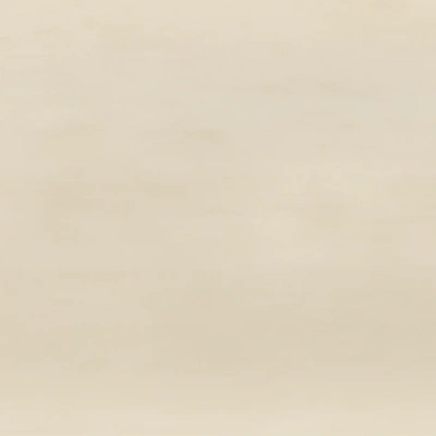 Arlette Beige Porcelain 8X24