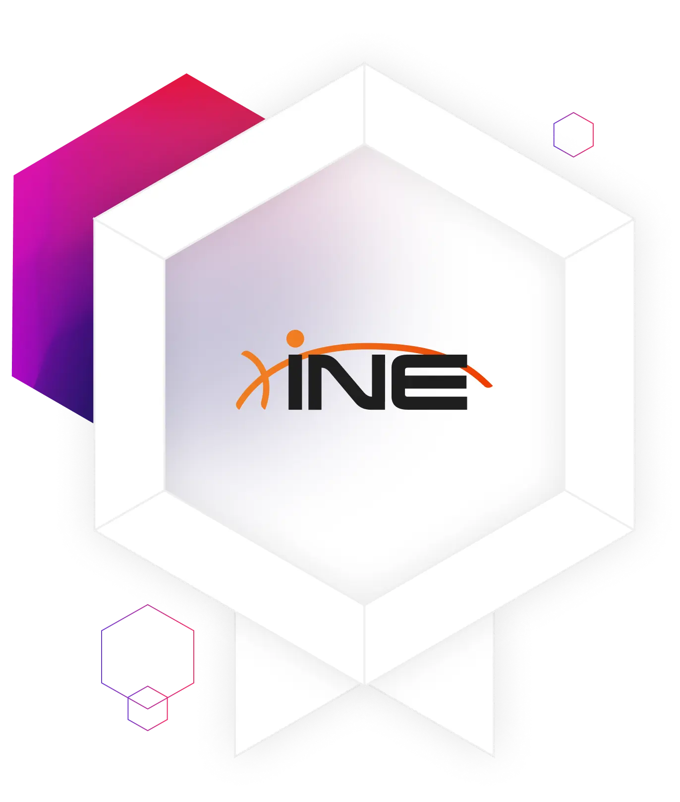 INE Validate Certifications Icon