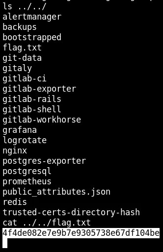 gitlab_file_read_7.jpg