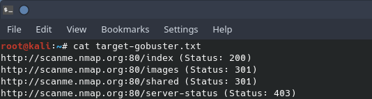 gobuster2.png