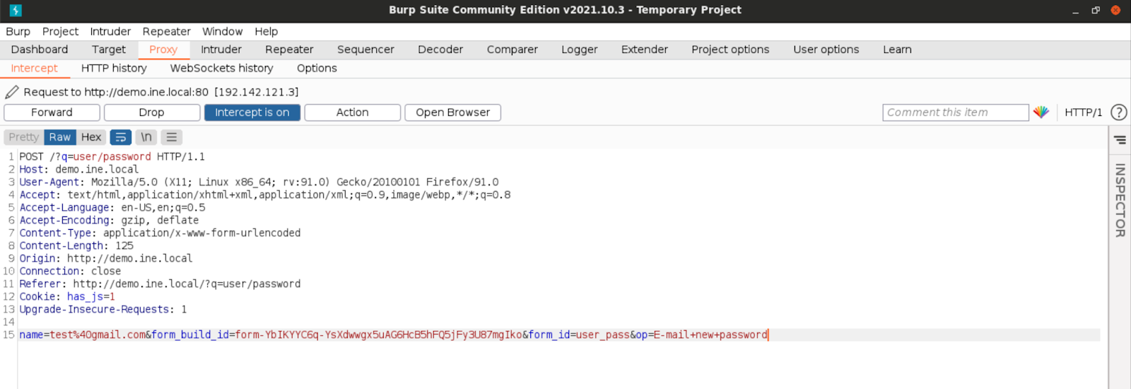 Burp Suite Intercept