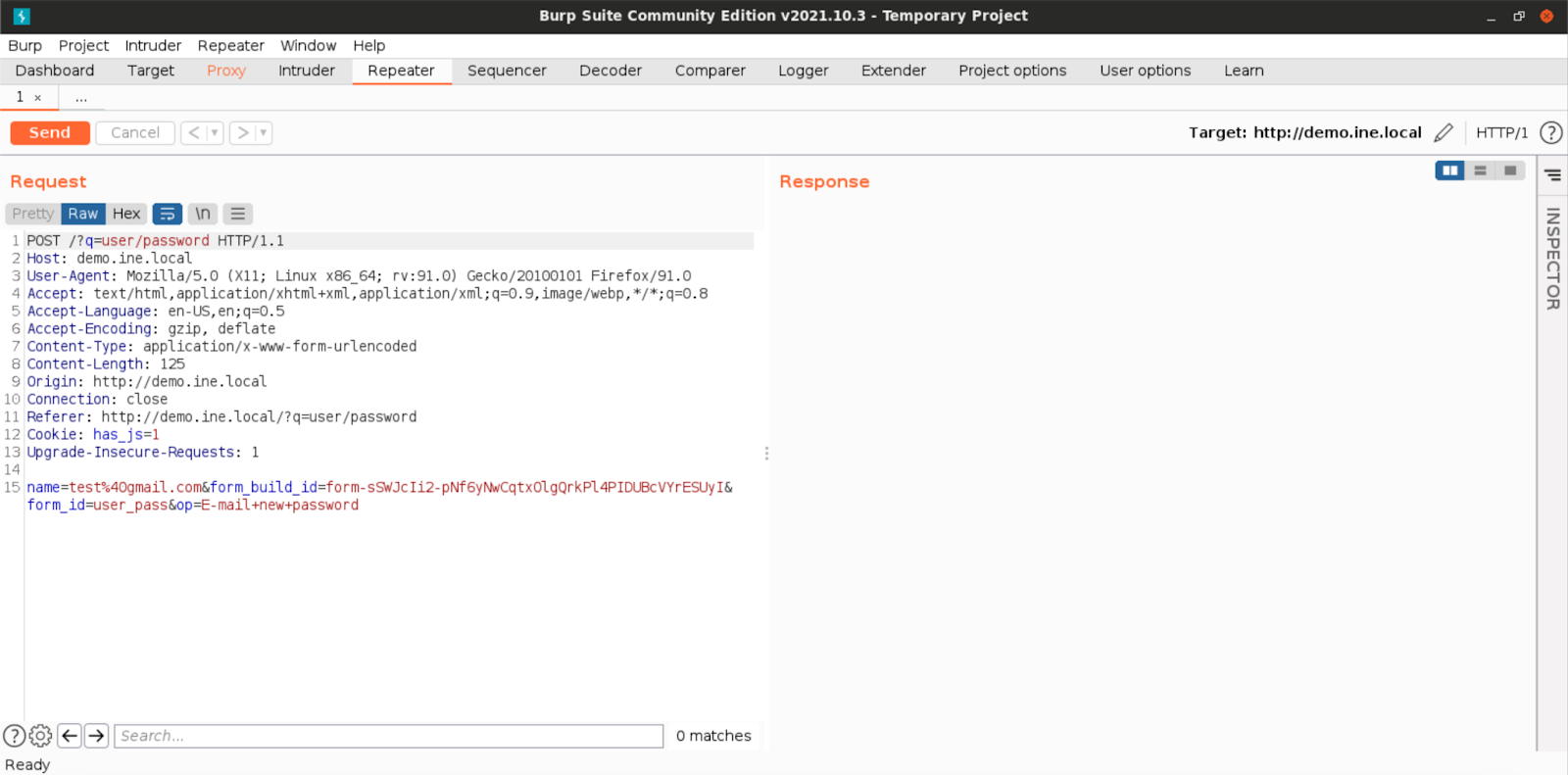 Burp Suite Repeater