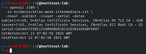 Identity and validity details of the fictional intermediate certificate