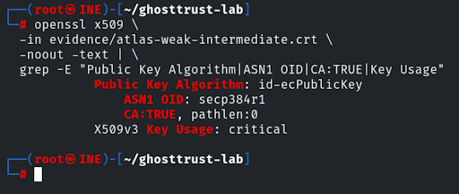 P-384 algorithm and CA extensions in the fictional intermediate certificate