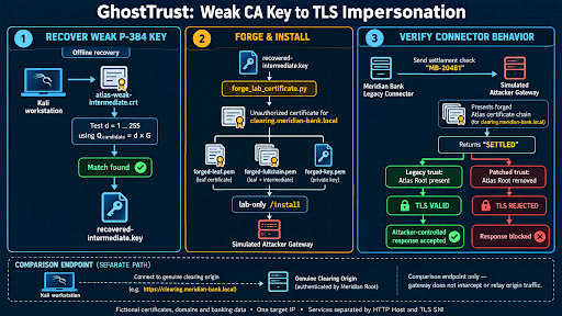 Complete GhostTrust attack and validation workflow
