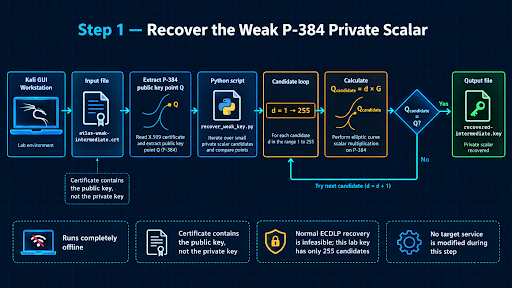 Recovery of the deliberately weak P-384 private scalar