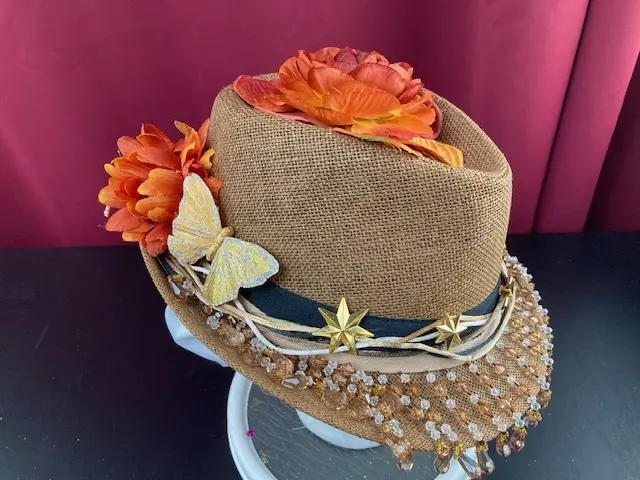 Fancy Fedora Hat