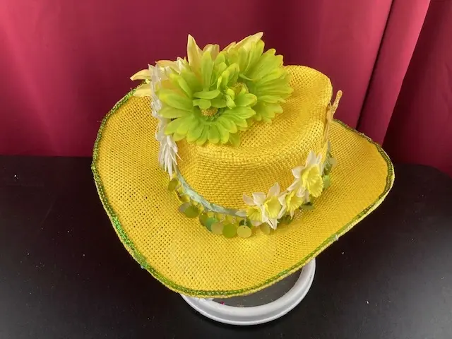 Bright Yellow and Green Hat