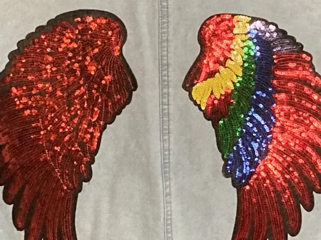 Sequined Winds Denim Jacket
