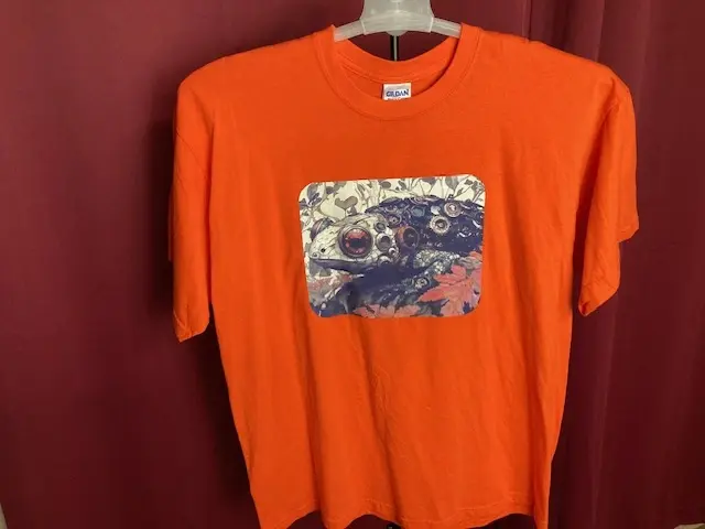 Orange T-Shirt with Frog