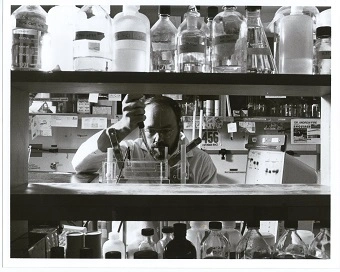 Phillip Sharp at desk behind lab bench working on samples.