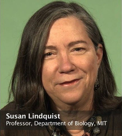 Headshot of Susan Lindquist, green backdrop behind her.