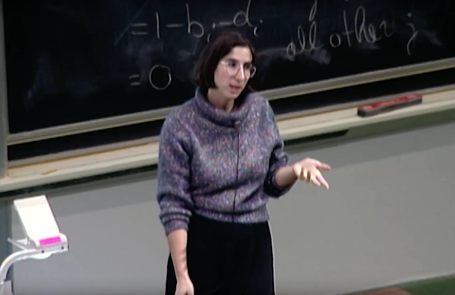 Lynn Andrea Stein lecturing in a classroom, standing in front of a chalkboard.
