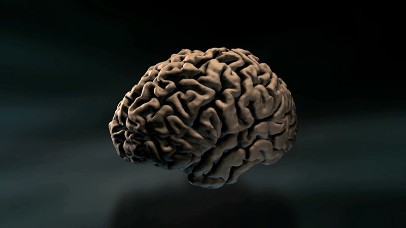 A human brain floating in a black void space, a graphic.