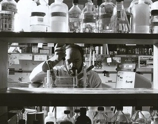 Phil Sharp at Desk through lab bench behind shelves with bottles of biological materials. 