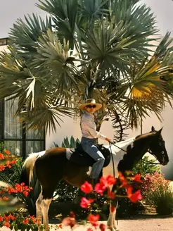 Rancho Cuatro Patas: A Rare Kind of Retreat